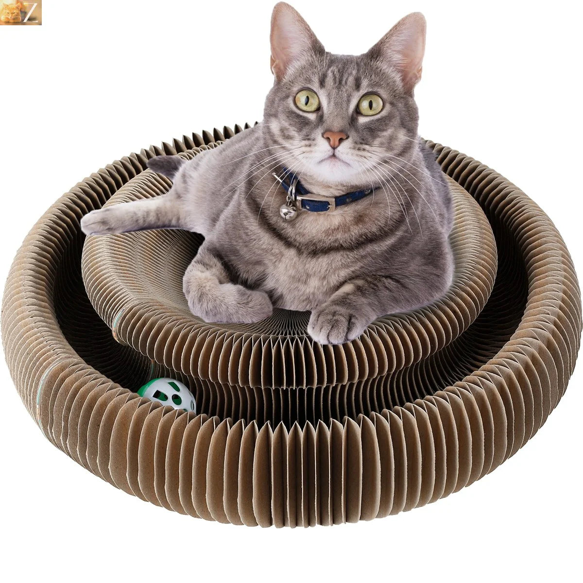 Foldable Cat Scratcher
