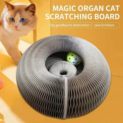Foldable Cat Scratcher